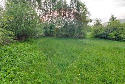 Teren Construcții intravilan de 4223 mp, în Tohănița - 13