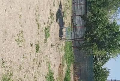 Casă cu 5 camere cu Teren 711 Mp în Vladimirescu - 4