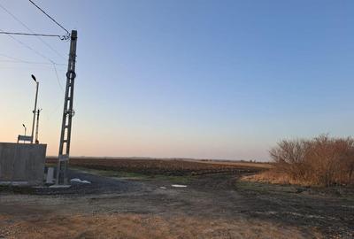 Teren de 10000 mp, în Dârza