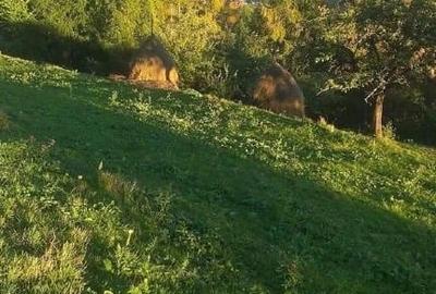 Vanzare casa 6 camere, 1 ha teren, 70m deschidere drum DN1R Matisesti, Jud. Alba - 5