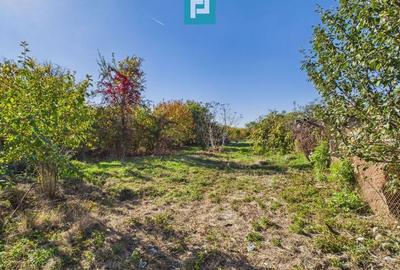 Teren intravilan de 1363 mp în Mândruloc - 5