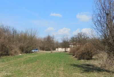Teren în Măgurele