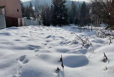 Teren de 1400 mp, în Izvoru Mureșului - 3