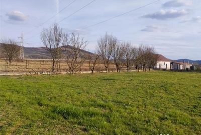 Teren de 14.5 mp, în Central - 2