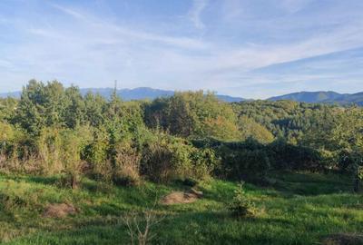 Spațiu comercial, în Cisnădioara - 8