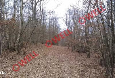 Spațiu comercial, în Dalnic - 1