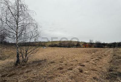 RECO , teren intravilan in Tomnatic, Vadu Crisului - 1