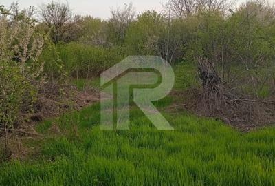 Teren Construcții intravilan de 1250 mp, în Buftea - 5