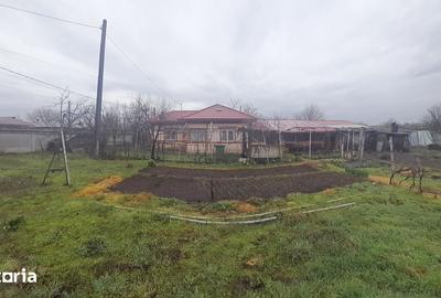 Casă cu 6 camere cu Teren 1760 Mp în Măldăeni - 11