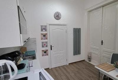 Chirie apartament cu o camera ultracentral - 4