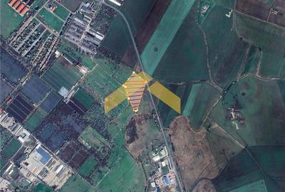 Teren 21,000 mp intravilan de vanzare centura de nord Arad - 2