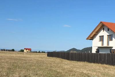 Teren de 1000 mp, în Glăjărie - 6