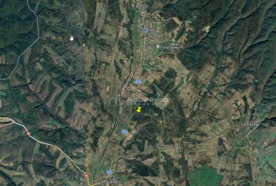 Forotic, Teren Drept Pentru Investitie, 13.2 Hectare (132.00 - 9