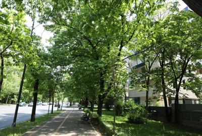 Apartament cu 4 camere decomandat în Arcul de Triumf - 12