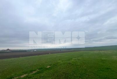 Teren agricol extravilan de 800 mp, în Moara - 4