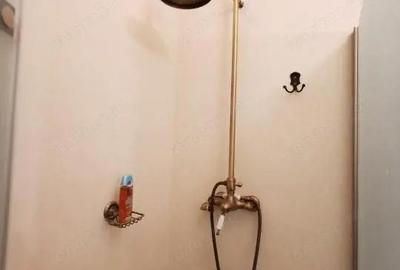 Casă cu 6 camere cu Teren 4042 Mp în Central - 7