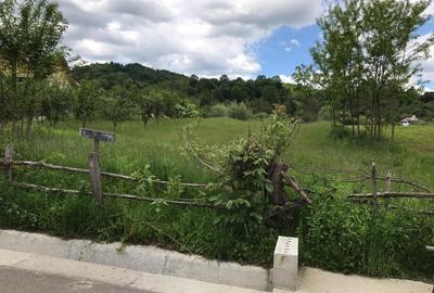 Teren intravilan Valea Lunga Cricov, jud Dambovita - 4