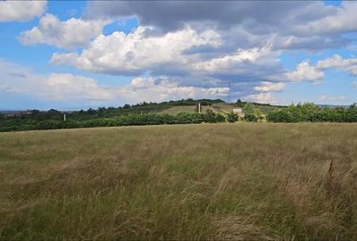 Spațiu comercial, în Viile Satu Mare - 3