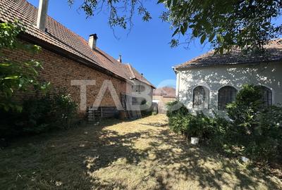 Casa cu potential de investitie in centrul satului 1540 mp teren - 3