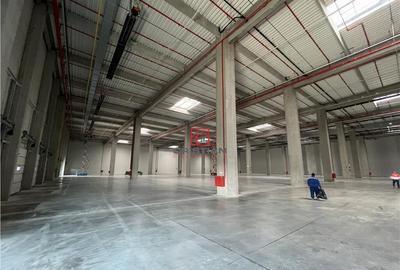 Depozit/hala/spatiu industrial Theodor Pallady - Cernica - - 32