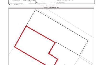 Zona Valea Cascadelor sp 220 mp inchiriat - 2