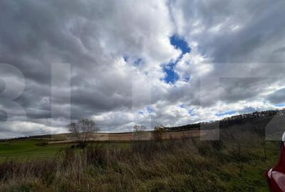 Teren de vanzare perfect pentru investitie in Babutiu Teren de vanzare perfect pentru investitie in Babutiu - 2