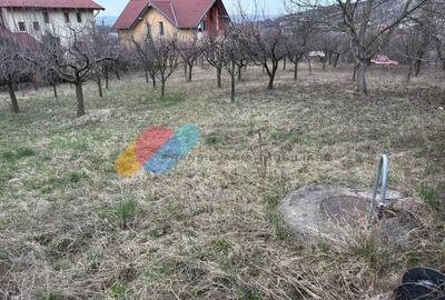 Teren Construcții intravilan de 780 mp, în Borhanci - 3