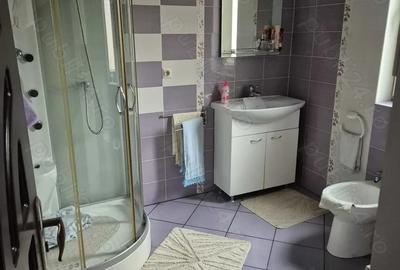 Vand casa Sfantu Ilie utilata si mobilata - 8