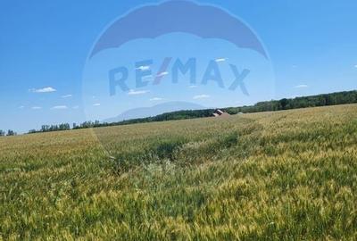 Teren intravilan 30,000mp Corbeanca P+1+E2 - 3