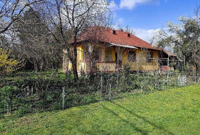 Casă cu 3 camere cu Teren 6100 Mp în Constantinești - 1