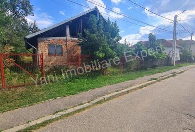 Casa batraneasca + 1462 mp teren de vanzare in Curtea de Arge?. - 14