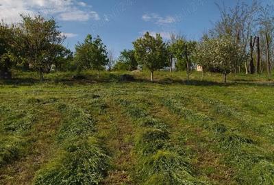 Teren de 2500 mp, în Mihăilești - 6