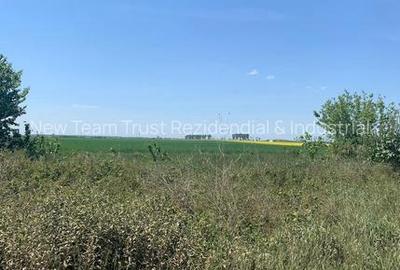 Afumati  Vanzare suprafata  teren 5,29 hectare - 2