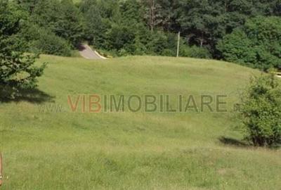 Breaza - Nistoresti, Str. Muresului, teren intravilan, suprafata 6.144 mp - 4