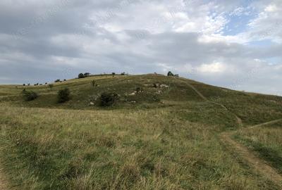 Casă cu 6 camere în Leghia - 3