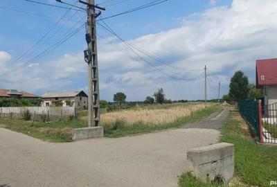 Teren de 3960 mp, în Crucișoara - 2