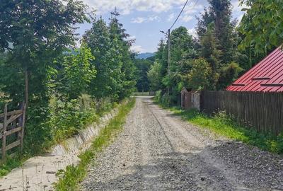 Teren intravilan de 5000, plat, orizontal la poalele muntelui, pe malul Doftanei - 3