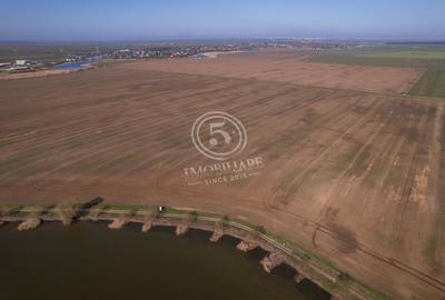 Teren Construcții intravilan de 17500 mp, în Frumușani - 10