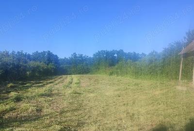 Teren de 2800 mp, în Jdioara