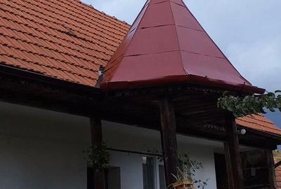 Casă cu 2 camere cu Teren 1200 Mp în Căpușu Mare - 4