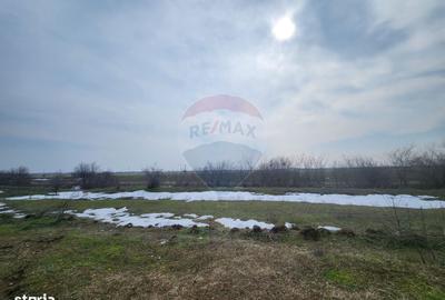 Spațiu comercial, în Ciorogârla - 3