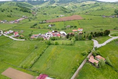 Teren Construcții intravilan de 7948 mp, în Barcani - 4