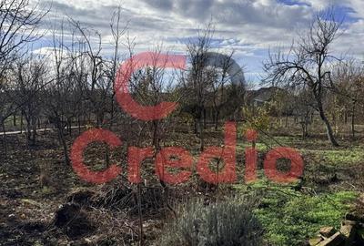 Casă cu 2 camere cu Teren 1200 Mp în Peciu Nou - 4