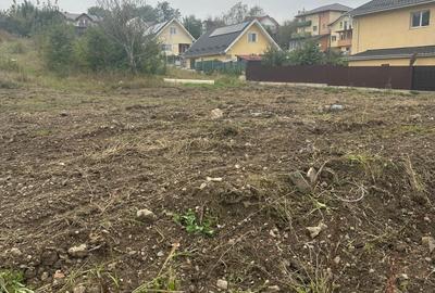 Spațiu comercial, în Târgu Frumos - 8