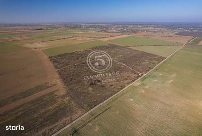 Spațiu comercial, în Săftica - 9