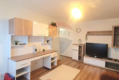 Apartament cu 2 camere semidecomandat, mobilat în Romanilor - 2