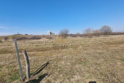 Teren agricol extravilan de 1000 mp, în Șelimbăr - 2