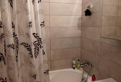 Apartament cu 2 camere decomandat în Gorjului - 6