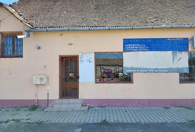 Spațiu comercial, de 50 mp, în Denta - 3