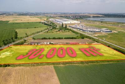 Teren de 30000 mp, în Cernica - 4